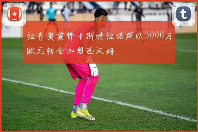 拉齐奥前锋卡斯特拉诺斯以3000万欧元转会加盟西汉姆