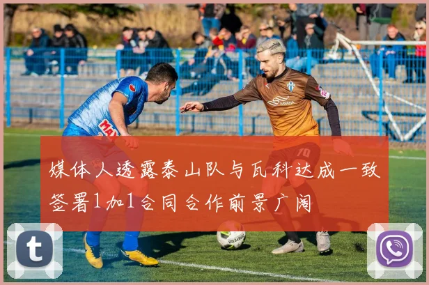 媒体人透露泰山队与瓦科达成一致签署1加1合同合作前景广阔