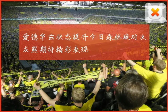 爱德华兹状态提升今日森林狼对决灰熊期待精彩表现