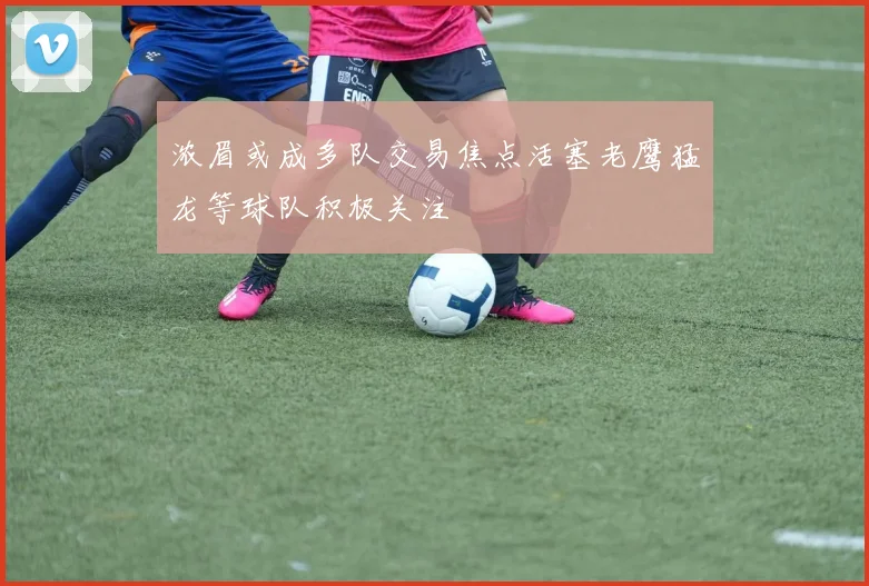 浓眉或成多队交易焦点活塞老鹰猛龙等球队积极关注