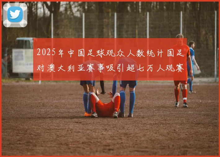 2025年中国足球观众人数统计国足对澳大利亚赛事吸引超七万人观赛